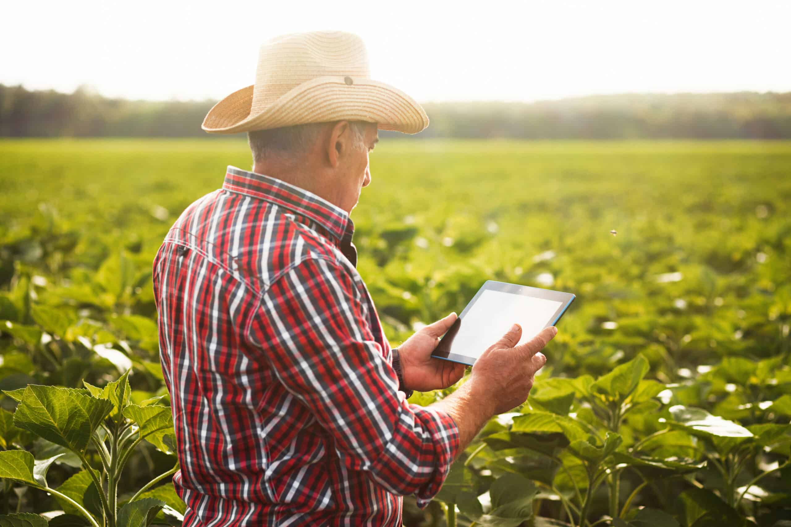 Veja como a conectividade no campo pode transformar o agronegócio