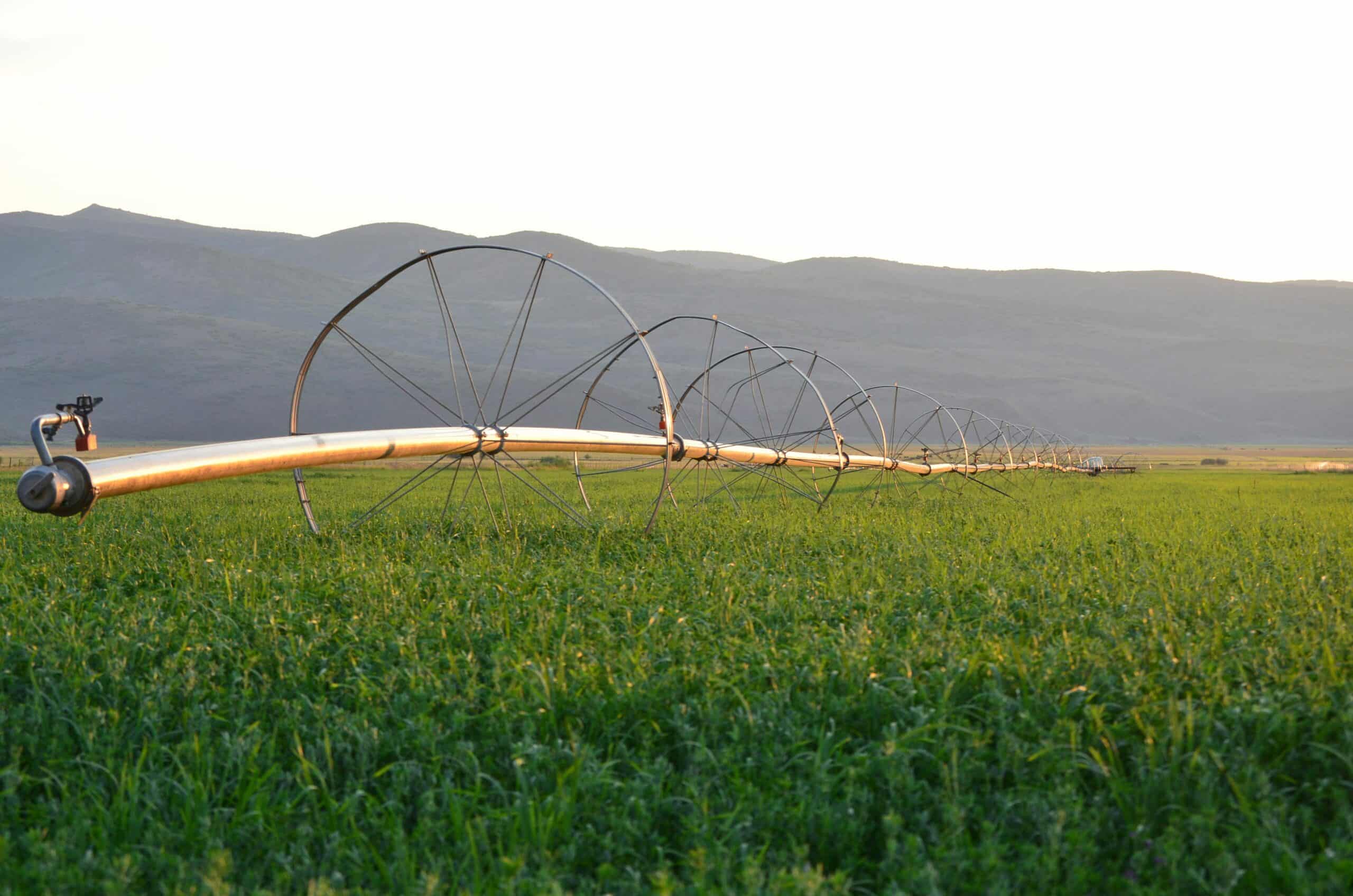 Sistema de irrigação: Importância da comunicação interna