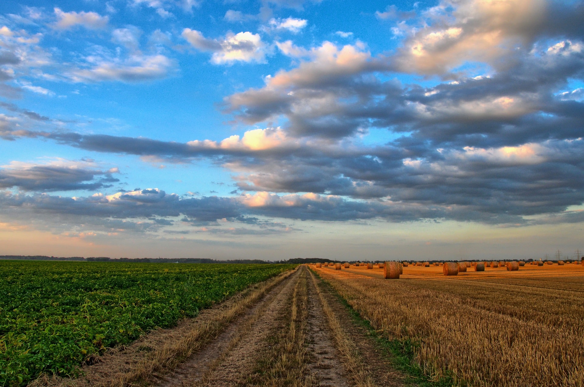 O Impacto do Push to Talk na Agricultura de Precisão: uma Nova Era Tecnológica na Agricultura