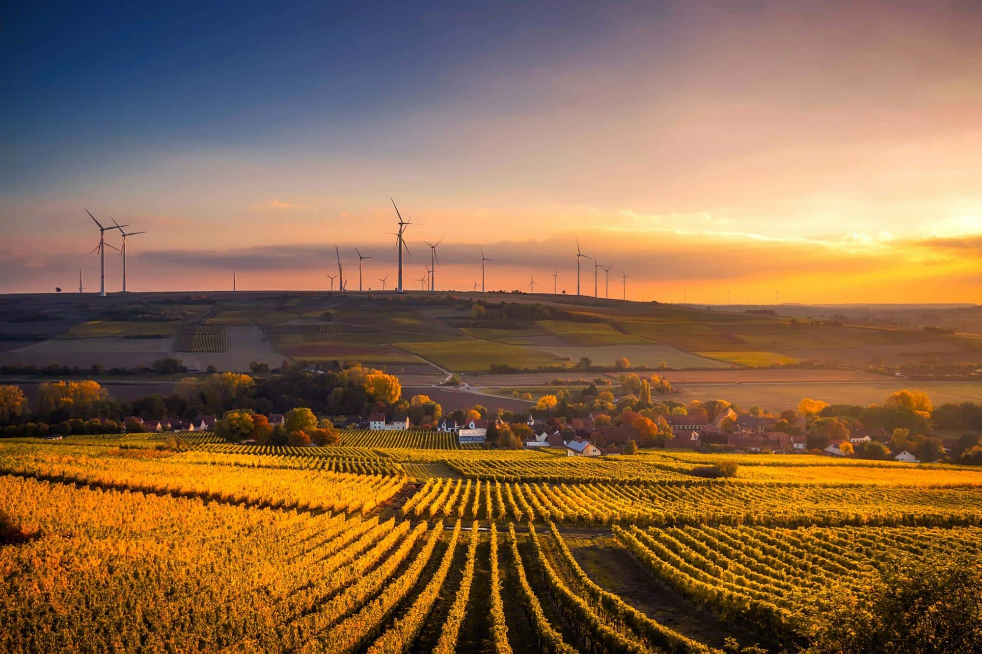 Iniciativas lançadas pelo governo expande conectividade em áreas agrícolas